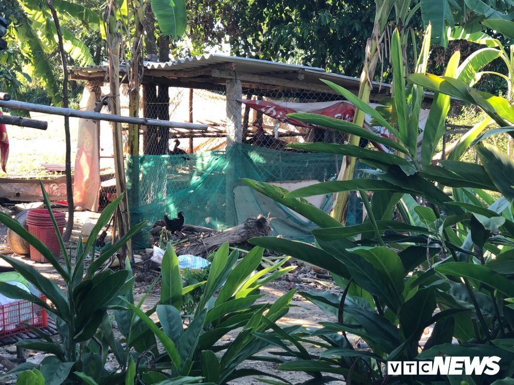 42407992_2072225566142390_402107448275501056_n 4