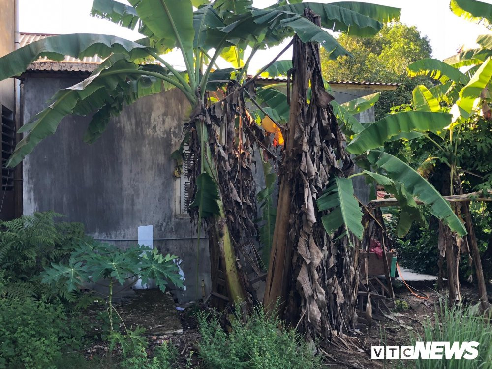 42518610_520895061715493_6586791063808114688_n 3