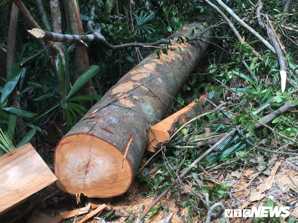 42702429_325489401543447_3347041380680597504_n