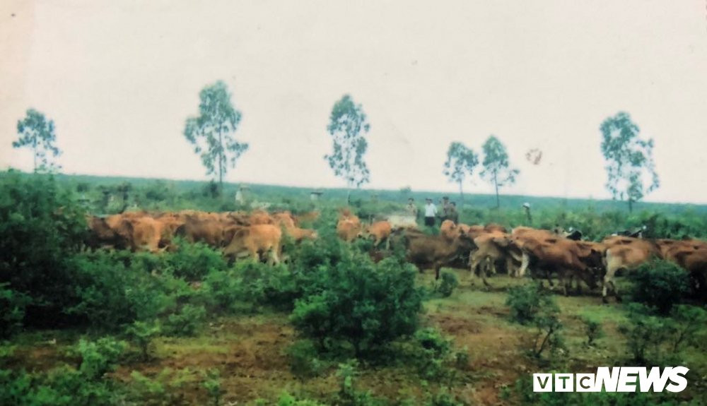 46445903_733648403688919_6032408814228078592_n