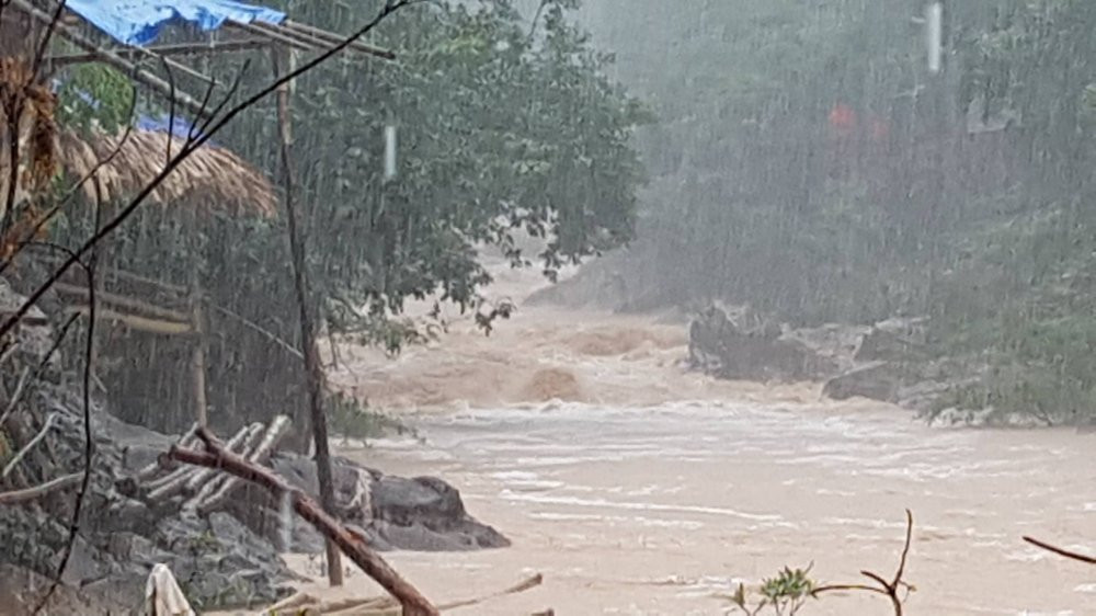 46513855_280121029309408_6595361494953623552_n