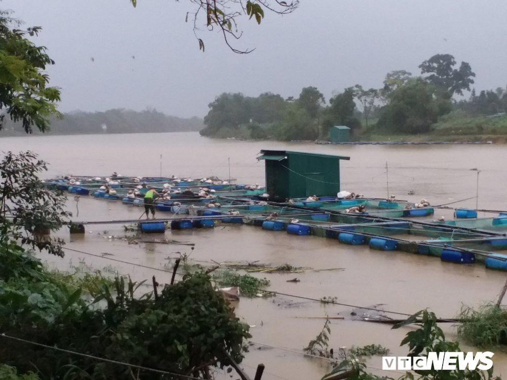 av-long ca tren song Bo