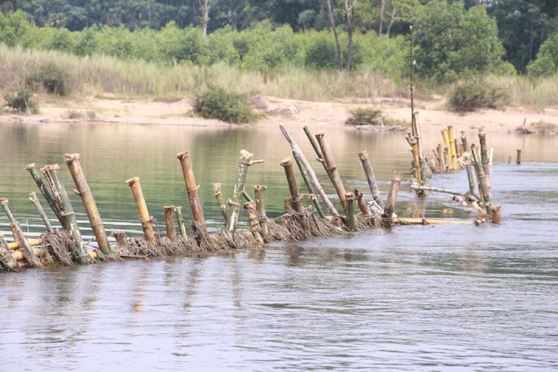 Vu-tran-dia-coc-tre-o-TT-Hue-Phat-doanh-nghiep-16-ty-dong-tuoc-giay-phep-xu-phat-1558695655-width1000height667