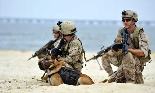 Các thành viên thuộc đội đặc nhiệm SEAL của hải quân Mỹ. Ảnh: AFP