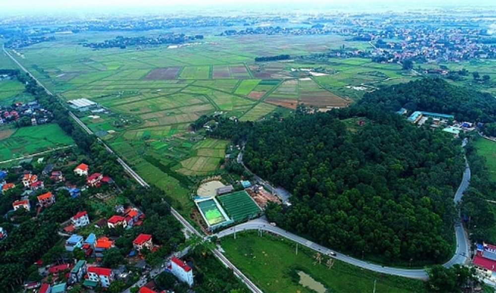 dua ngua