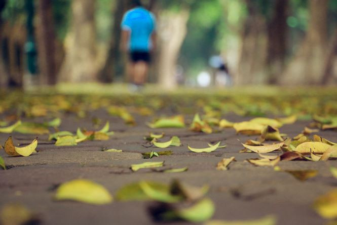 tien_phong_la_rung_anh_2_uaki