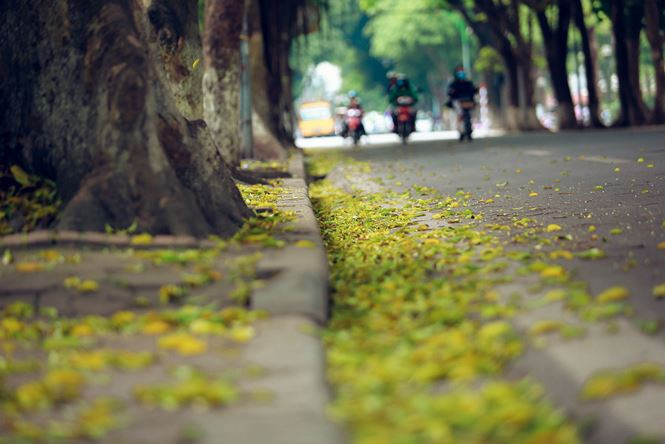 tien_phong_la_rung_anh_9b_amqs 10