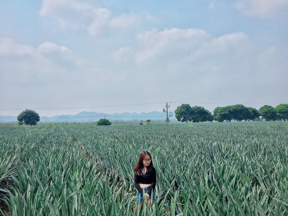 doi dua dong giao (1) 25