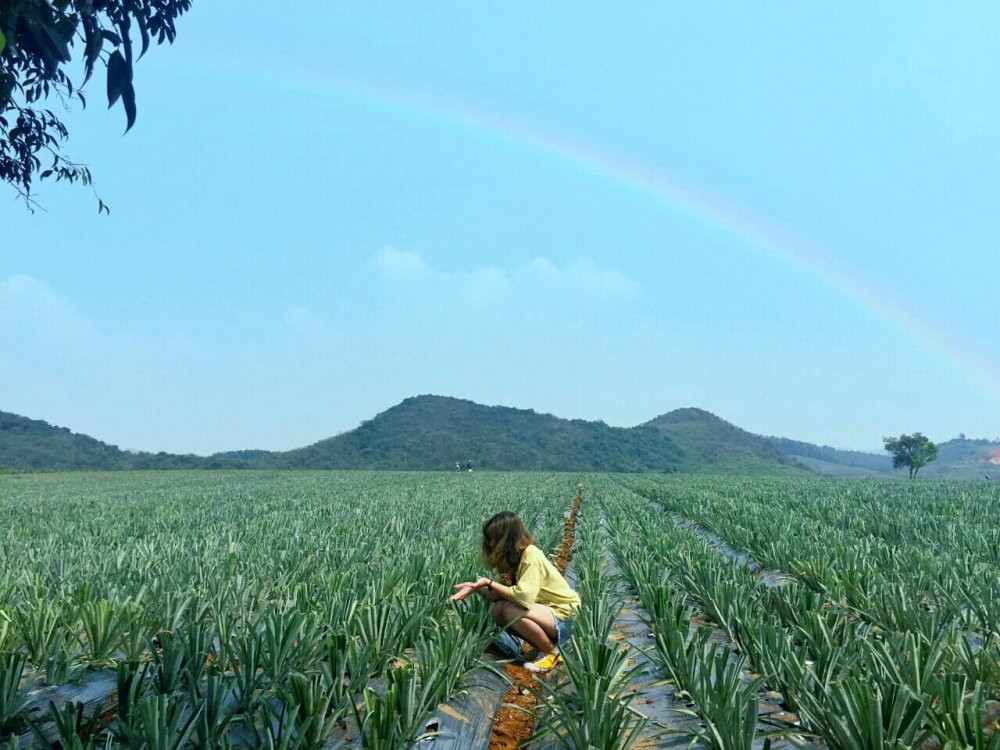 doi dua dong giao (3) 26