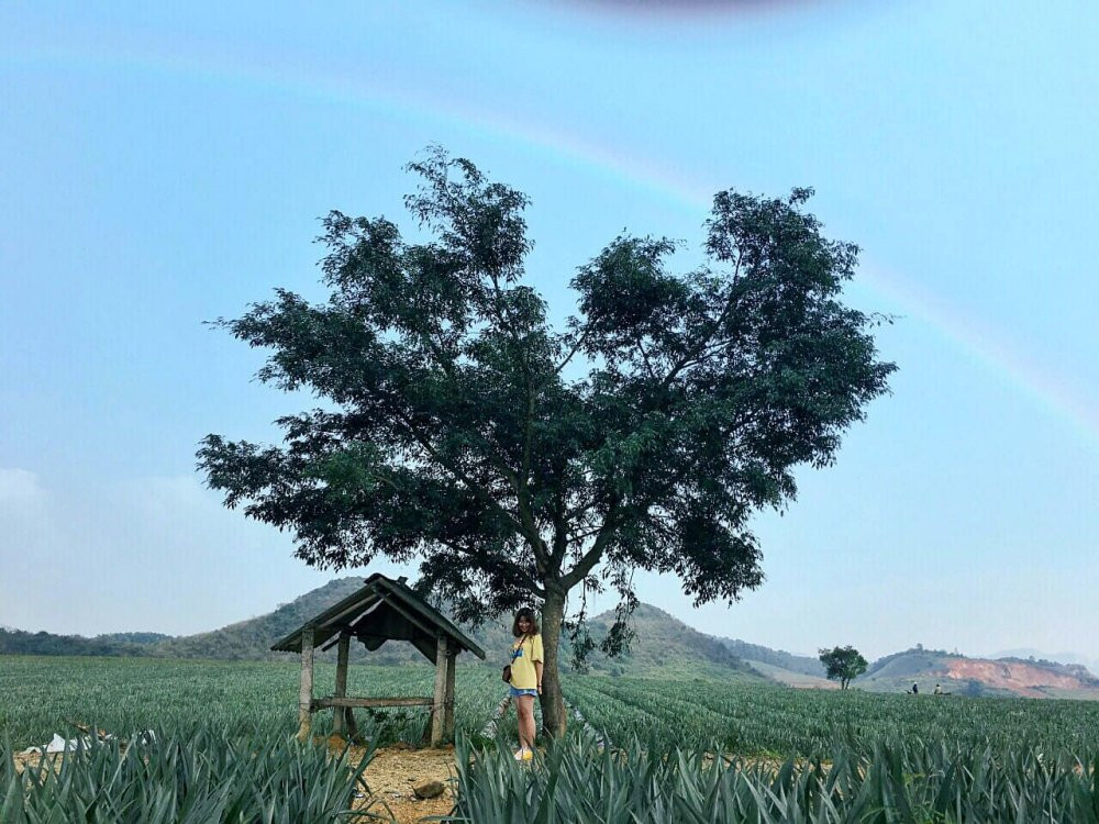 doi dua dong giao (4) 28