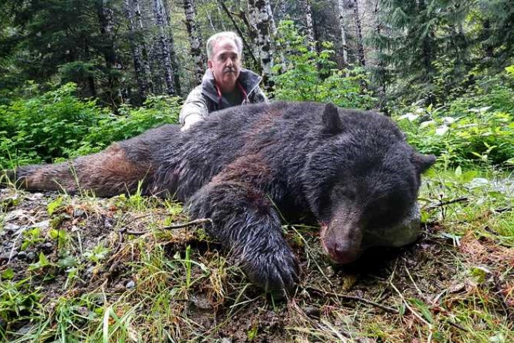 Phẫn nộ chiến dịch lùng diệt loài gấu khổng lồ nặng tới 1 tấn