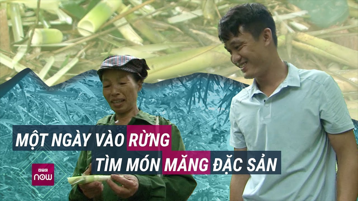 Trải nghiệm vào rừng sâu tìm 'thần dược' quý hiếm