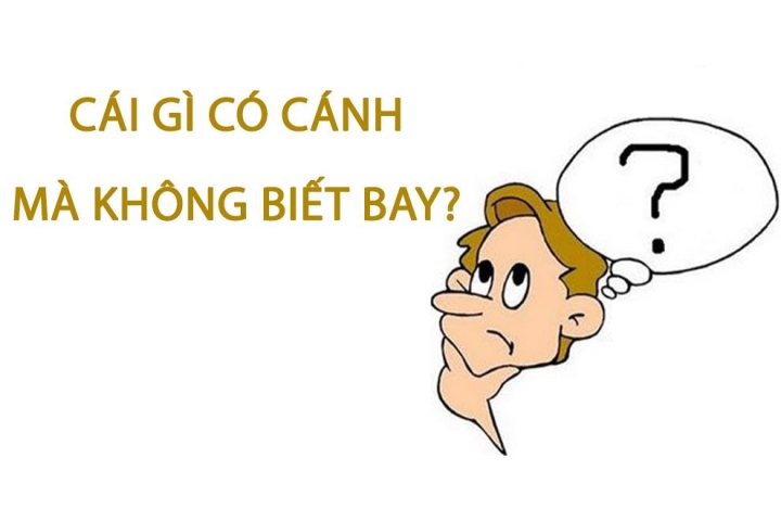 Cái gì có cánh mà không biết bay? - Bí Ẩn Thú Vị Từ Thiên Nhiên