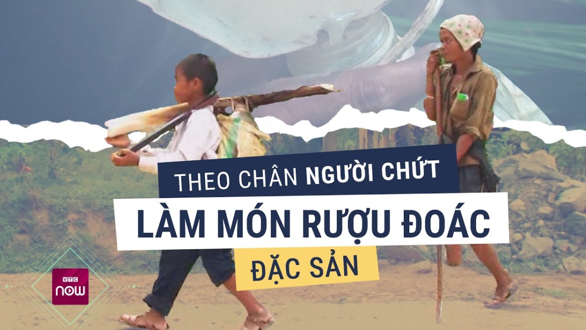 Kỳ lạ loại rượu duy nhất chảy ra từ thân cây