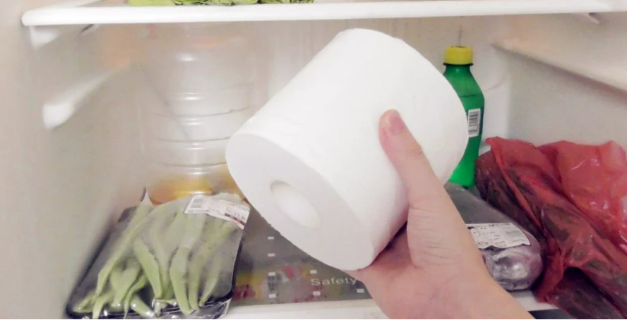 Vì sao nên đặt giấy cuộn vào tủ lạnh?