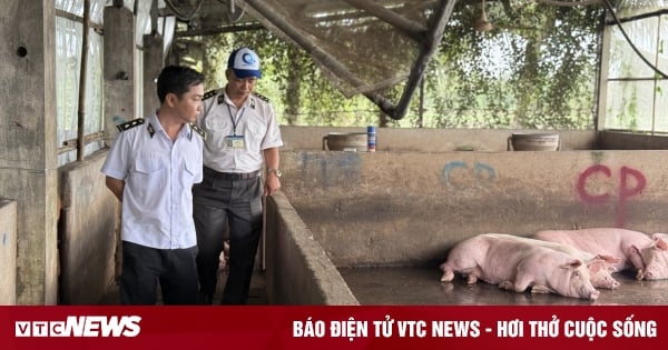 vtcnews.vn