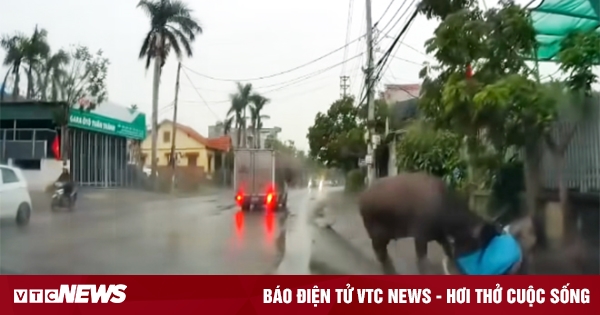 vtcnews.vn