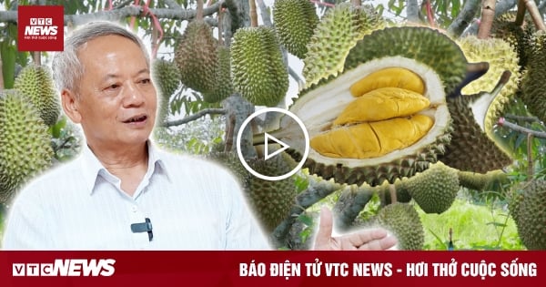 vtcnews.vn