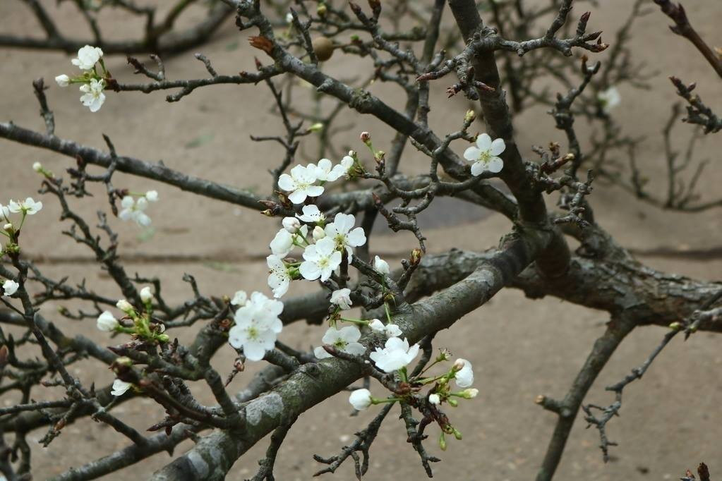 Tết Dương lịch 2024