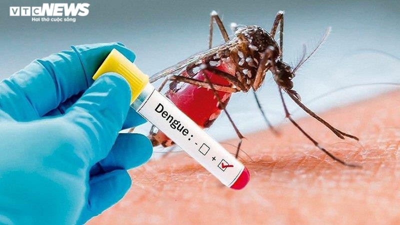 Ca mắc sốt xuất huyết tăng mạnh