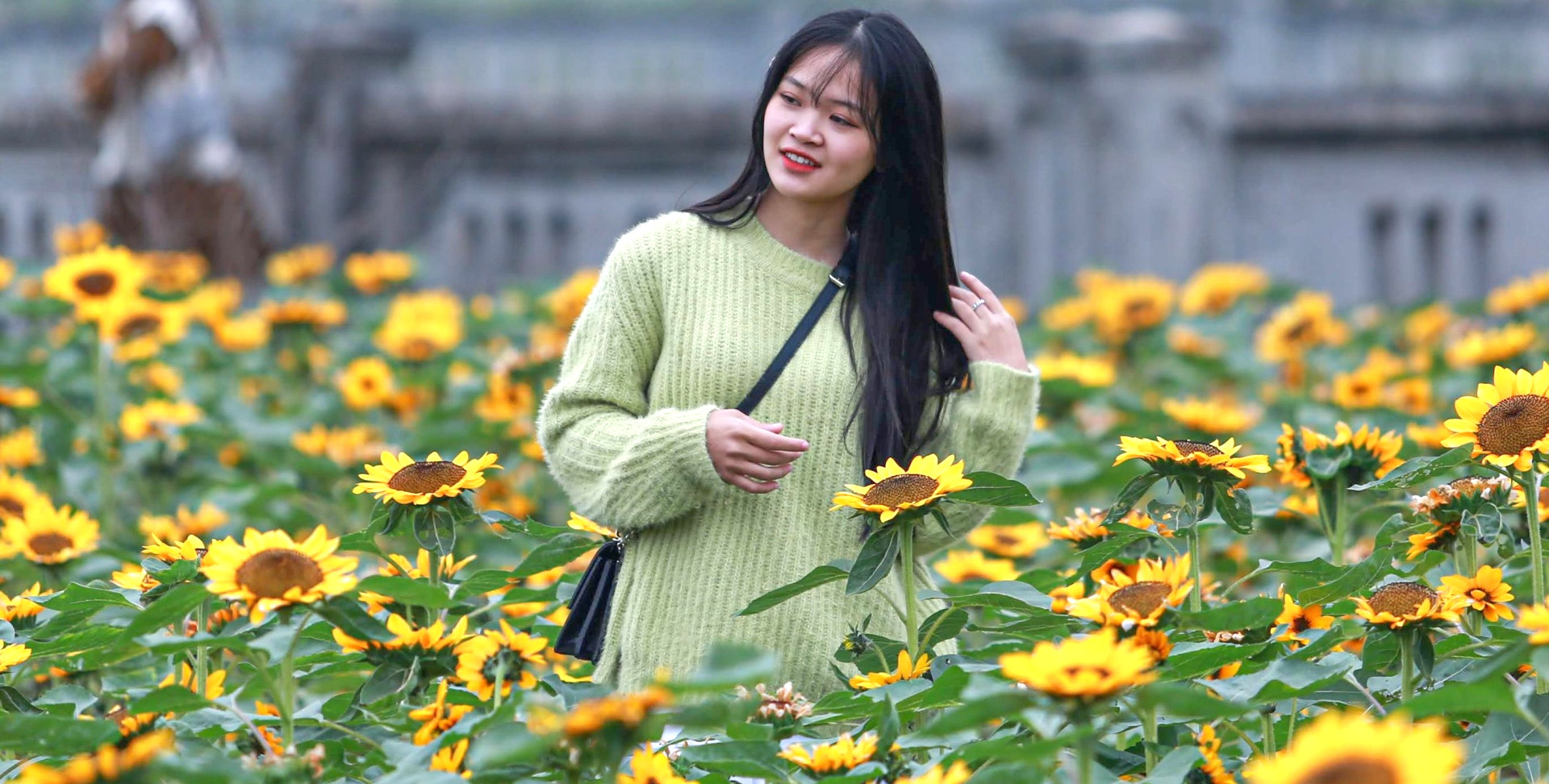 Khai mạc lễ hội hoa lớn nhất Thủ đô