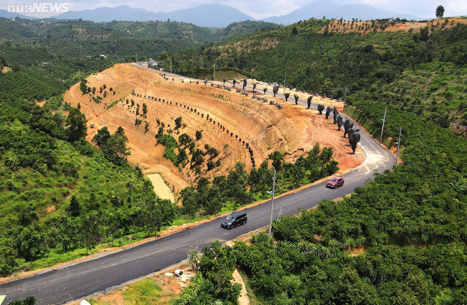 Đồi xanh ở Lâm Đồng lại âm ỉ 'rỉ máu' vì nạn phân lô