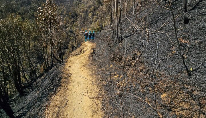 Cháy rừng tại Vườn quốc gia Hoàng Liên