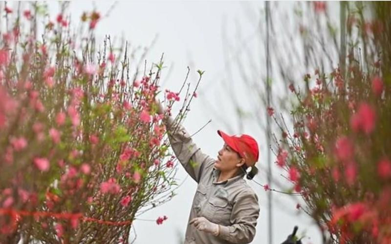 Thị trường Tết Nguyên đán Quý Mão 2023