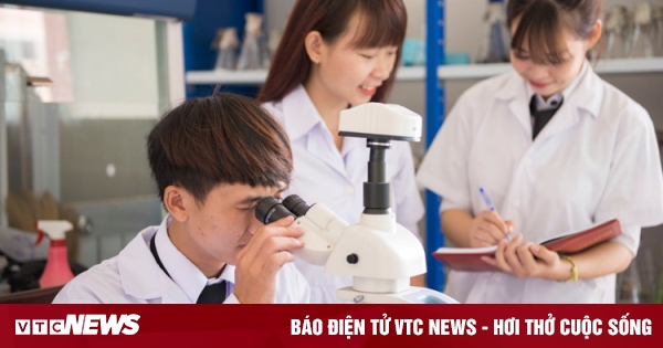 Chuyên gia: Thuật ngữ đại học và trường đại học rối rắm, gây hiểu nhầm