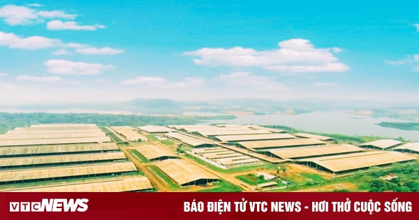 vtcnews.vn