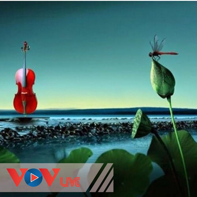 Âm nhạc với cuộc sống