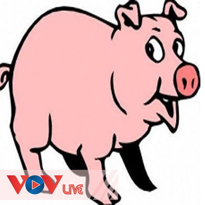Sự tích con lợn