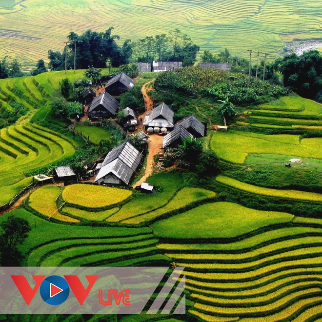 Góc Việt