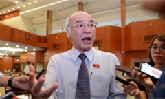 Phó đoàn ĐBQH TP.HCM: Phải khởi tố vụ dâm ô bé gái trong thang máy