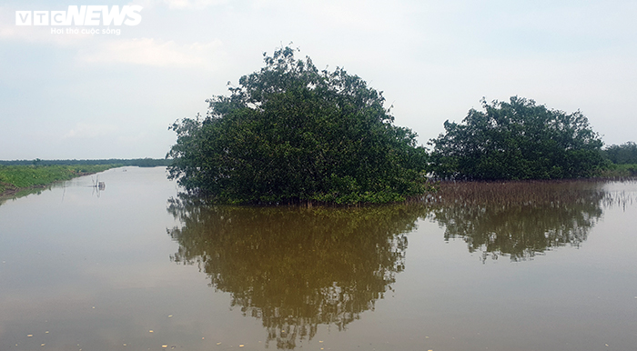 Hải Phòng thu hồi gần 400ha đất bãi bồi ven biển bị 'bỏ quên' cả thập niên