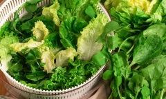 Những người nên tránh xa rau sống