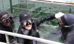 Hết nhảy dù, cụ bà 100 tuổi lại bơi...cùng cá mập