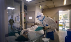 Chuyên gia Trung Quốc: SARS-CoV-2 tiến hoá thành 2 chủng khác nhau