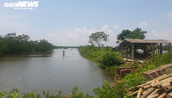 Hải Phòng thu hồi gần 400ha đất bãi bồi ven biển bị 'bỏ quên' cả thập niên