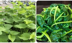 Loại rau dân dã bán đầy chợ Việt chứa chất ngừa ung thư, tốt như thần dược