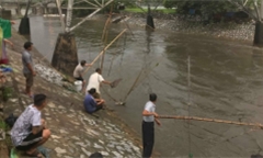 Ảnh: Sau mưa lớn, người Hà Nội rủ nhau ra sông Kim Ngưu đánh bắt cá