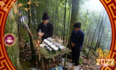 Video: Linh thiêng lễ cúng rừng mùa xuân của người Phù Lá