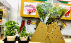 Hưởng ứng chiến dịch Giờ Trái đất, Co.op Food sáng tạo túi giấy cho khách hàng