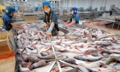 Năm trước còn lỗ vài trăm tỷ đồng, nhiều doanh nghiệp bất ngờ báo lãi cuối năm 2018