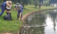 Nguyên nhân cá chết bốc mùi hôi thối nổi đầy hồ ở Lâm Đồng