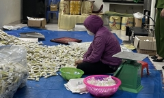 Phát hiện cơ sở sản xuất bánh gạo giả mạo nhãn hiệu Vetrue của Nhật Bản