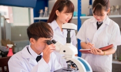 Gần 70 trường đại học quá hạn kiểm định chất lượng