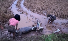 Cạn lời trước những pha lao xe xuống ruộng của 'người chơi hệ tắm bùn'