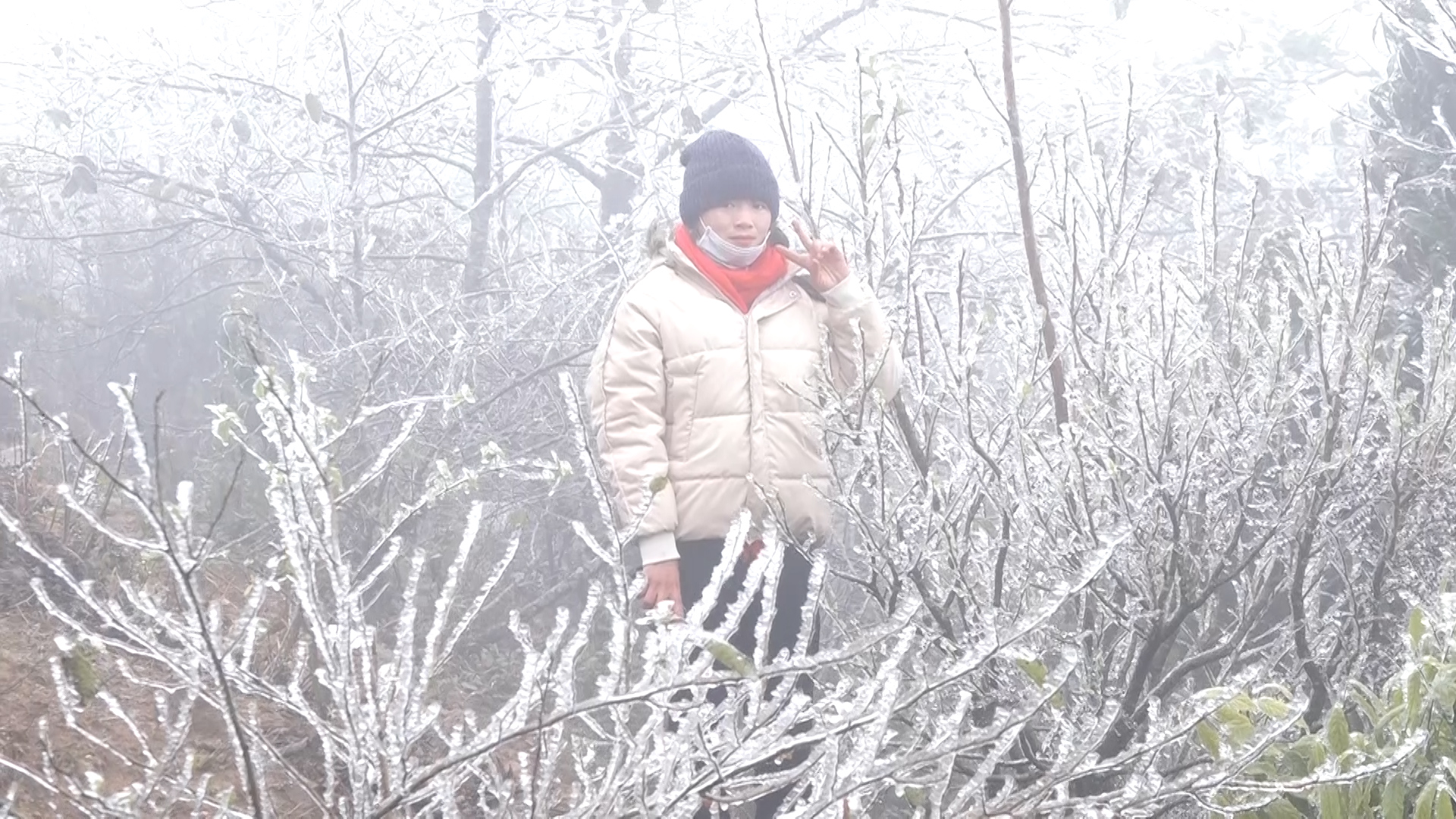 Rét hại, băng giá kỷ lục ở miền Bắc làm gần 1.600 gia súc bị chết