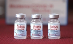 Cạn vaccine Moderna tiêm mũi hai, TP.HCM lên phương án thay thế